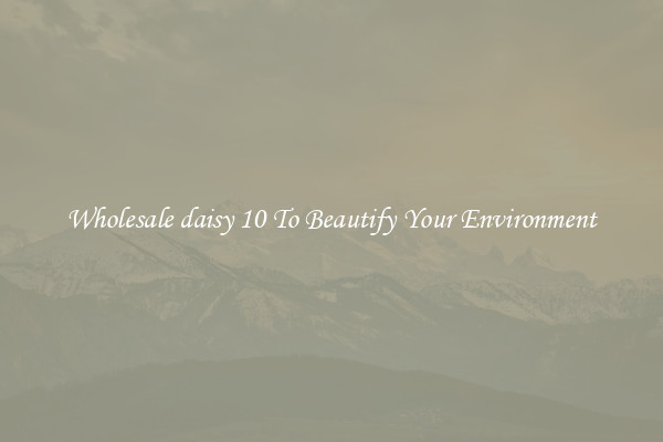 Wholesale daisy 10 To Beautify Your Environment