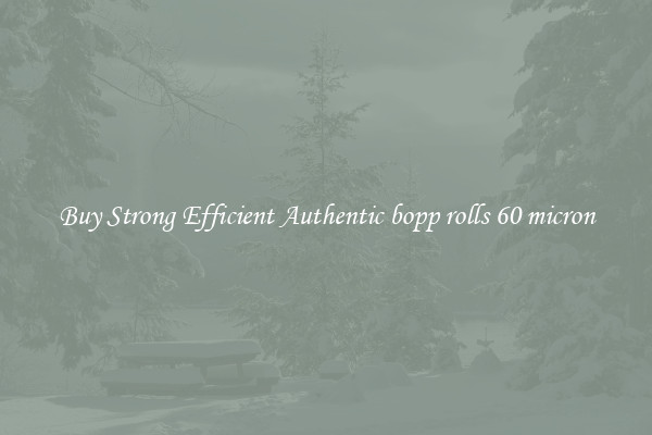 Buy Strong Efficient Authentic bopp rolls 60 micron