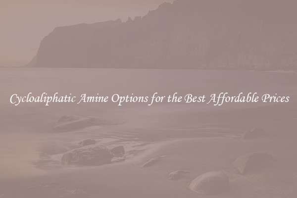 Cycloaliphatic Amine Options for the Best Affordable Prices
