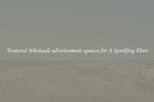 Featured Wholesale advertisement squeeze for A Sparkling Floor