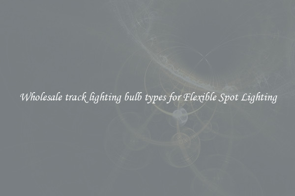 Wholesale track lighting bulb types for Flexible Spot Lighting