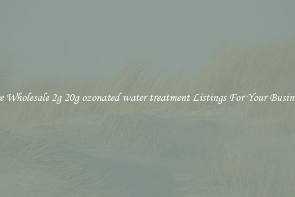See Wholesale 2g 20g ozonated water treatment Listings For Your Business