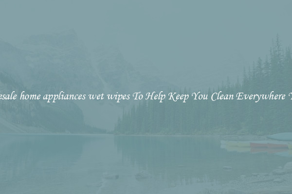 Wholesale home appliances wet wipes To Help Keep You Clean Everywhere You Go