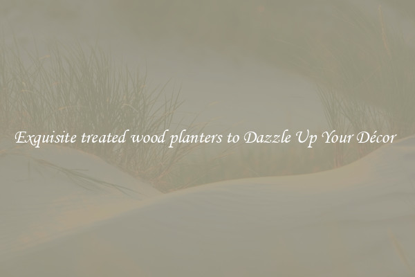 Exquisite treated wood planters to Dazzle Up Your Décor  