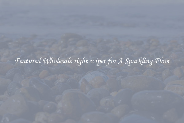Featured Wholesale right wiper for A Sparkling Floor