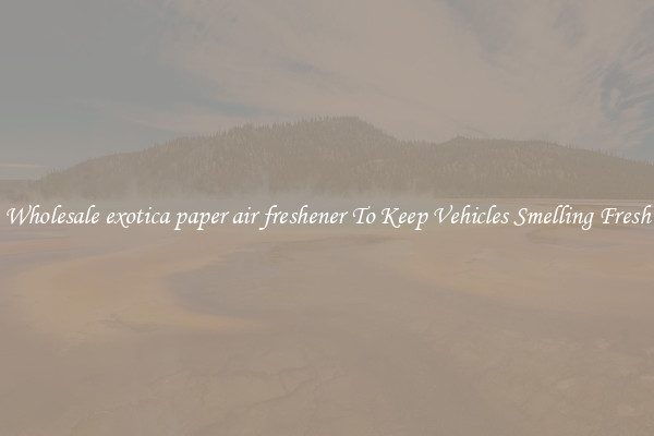 Wholesale exotica paper air freshener To Keep Vehicles Smelling Fresh