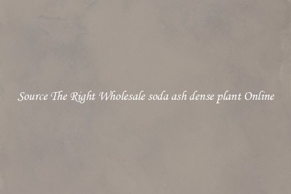 Source The Right Wholesale soda ash dense plant Online
