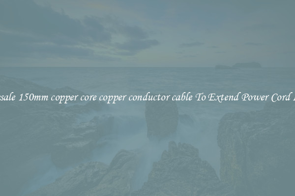 Wholesale 150mm copper core copper conductor cable To Extend Power Cord Length