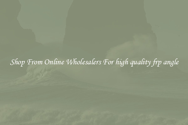 Shop From Online Wholesalers For high quality frp angle