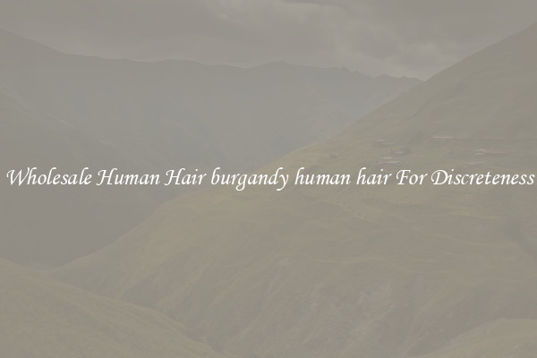 Wholesale Human Hair burgandy human hair For Discreteness