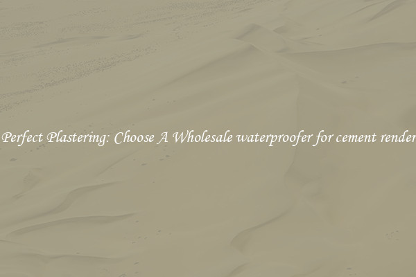  Perfect Plastering: Choose A Wholesale waterproofer for cement render 