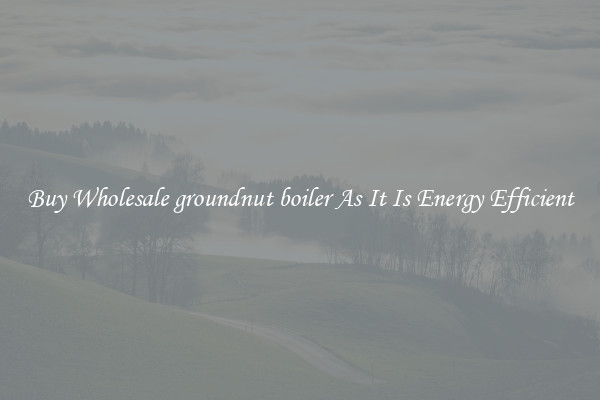 Buy Wholesale groundnut boiler As It Is Energy Efficient