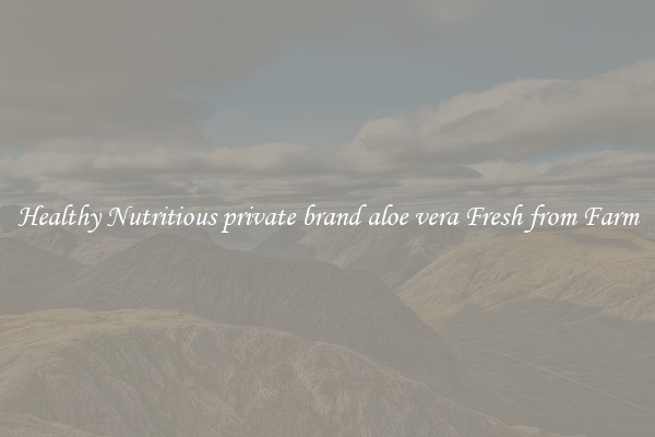 Healthy Nutritious private brand aloe vera Fresh from Farm