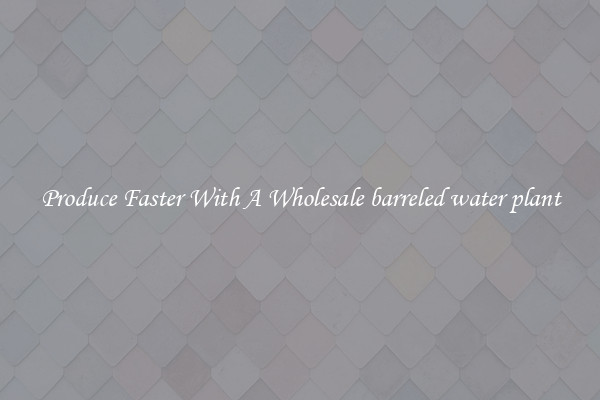Produce Faster With A Wholesale barreled water plant